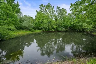 25060 Royalton Rd, Columbia Station, OH 44028 - Photo 13