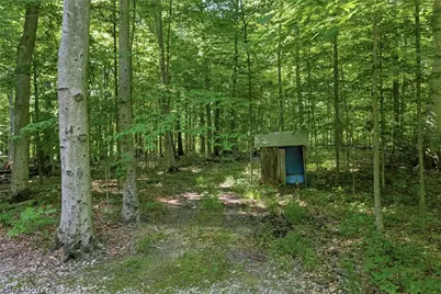 767 County Road 500, Ashland, OH 44805 - Photo 11