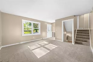 8995 Spring Dr, Windham, OH 44288 - Photo 9