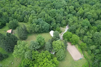 11811 Gaston Road, Negley, OH 44441 - Photo 3