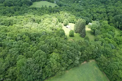 11811 Gaston Road, Negley, OH 44441 - Photo 5