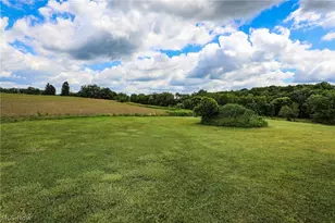4527 Streeter Rd, Garrettsville, OH 44255 - Photo 27