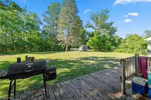 202 Grandview Dr, Lodi, OH 44254 - Photo 23