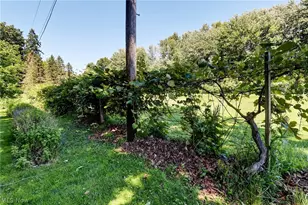 6065 E Valleyview Ct, Mentor, OH 44060 - Photo 31