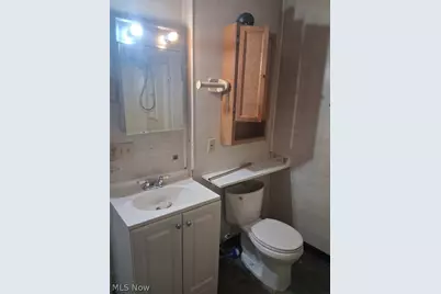 462 Eddy Road, Loveland, OH 44108 - Photo 21