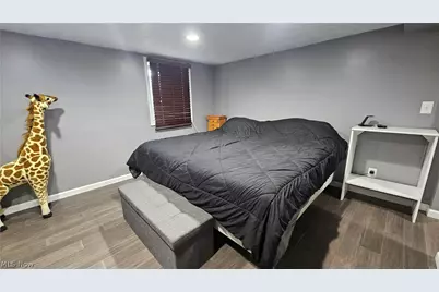 667 Essex Street, Akron, OH 44306 - Photo 19