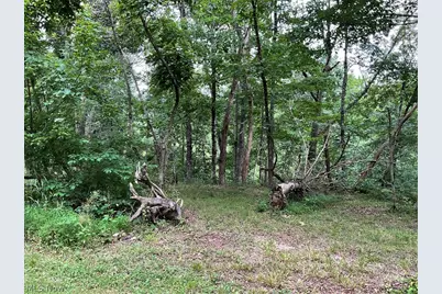 2345 Heldman Road, Wingett Run, OH 45789 - Photo 33
