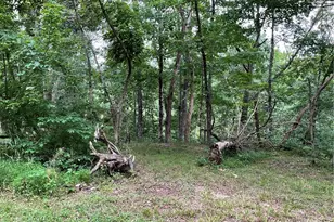 2345 Heldman Rd, Wingett Run, OH 45789 - Photo 37
