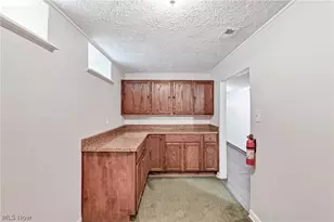 13106 N Boone Rd, Columbia Station, OH 44028 - Photo 35