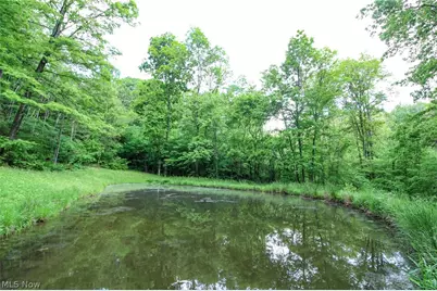 10195 Goosecreek Road, Roseville, OH 43777 - Photo 41