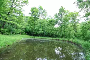 10195 Goosecreek Rd, Roseville, OH 43777 - Photo 41
