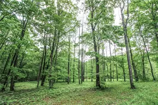 10195 Goosecreek Rd, Roseville, OH 43777 - Photo 43