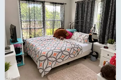 17619 Wildwood Lane, Loveland, OH 44119 - Photo 27
