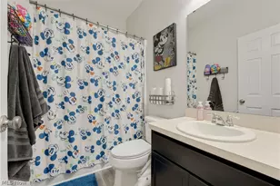 10449 Maryland St, Aurora, OH 44202 - Photo 19