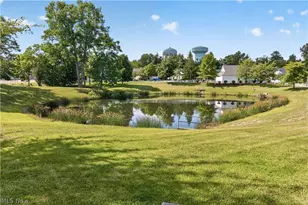 1139 Lake Meadow Ln, Brunswick, OH 44212 - Photo 37