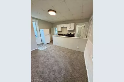 13210 Carrington Avenue, Loveland, OH 44135 - Photo 3