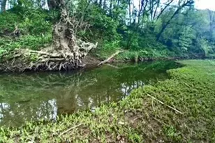 5170 State Route 821, Whipple, OH 45788 - Photo 5