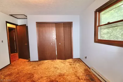113 Gaylord Street, Lodi, OH 44254 - Photo 23