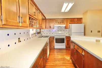 113 Gaylord Street, Lodi, OH 44254 - Photo 9
