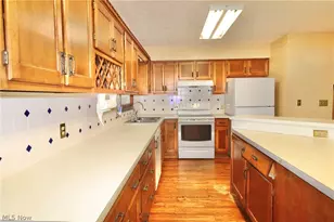 113 Gaylord St, Lodi, OH 44254 - Photo 9