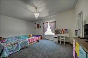 557 Beans Road SE, Sherrodsville, OH 44675 - Photo 27