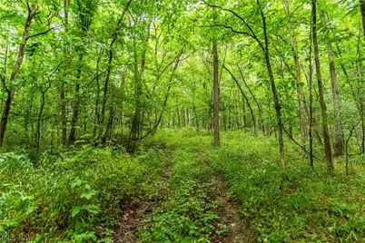 Long Road, Chandlersville, OH 43727 - Photo 7