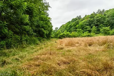 Long Road, Chandlersville, OH 43727 - Photo 5