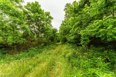 Long Road, Chandlersville, OH 43727 - Photo 13
