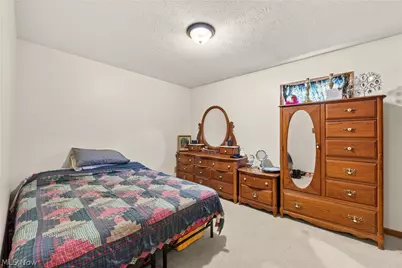43891 Bursley Road, Wellington, OH 44090 - Photo 27