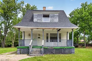 11817 Forest Ave, Loveland, OH 44120 - Photo 17