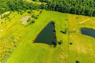 738 Co Rd 620, Ashland, OH 44805 - Photo 47
