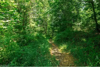 Clay Pike, Chandlersville, OH 43727 - Photo 13