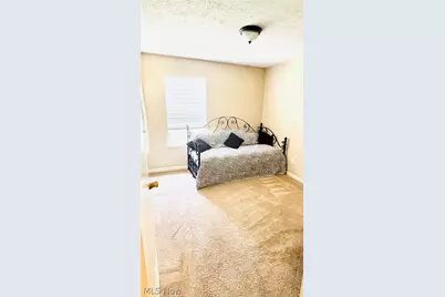 703 E Twinsburg Road, Northfield, OH 44067 - Photo 15