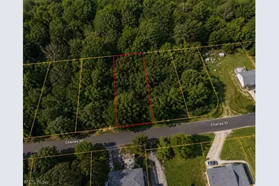 0 Charles Street, Mansfield, OH 44903 - Photo 5