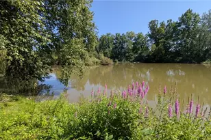 249 Forest Park Dr, LaGrange, OH 44050 - Photo 23