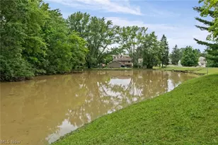 410 Lafayette Rd, Medina, OH 44256 - Photo 33