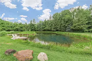 11292 Butternut Rd, Chardon, OH 44024 - Photo 41