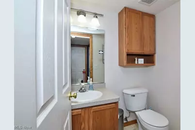 702 Jonquil Lane, Madison, OH 44057 - Photo 21
