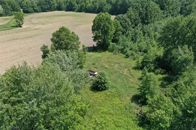 3359 Helsey Fusselman Road, Worthington, OH 44470 - Photo 33