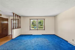 7974 Buffham Rd, Lodi, OH 44254 - Photo 9