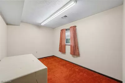 7974 Buffham Road, Lodi, OH 44254 - Photo 25