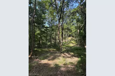 Hinkley Hollow Road, Portsmouth, OH 45662 - Photo 39