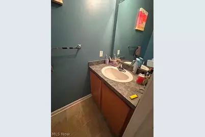 2163 E 46th Street, Loveland, OH 44103 - Photo 23