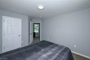 246 Columbine Ave, Akron, OH 44312 - Photo 27