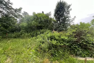 14681 Lisbon Rd, Salem, OH 44460 - Photo 35