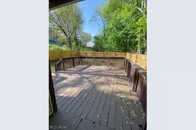 375 Lillian Street, Akron, OH 44307 - Photo 15