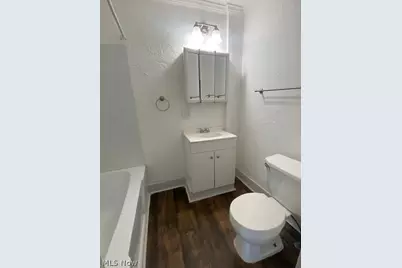 375 Lillian Street, Akron, OH 44307 - Photo 11