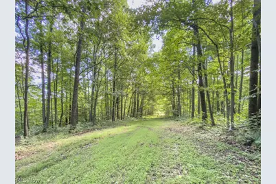 6985 Brush Run Road, Cambridge, OH 43725 - Photo 25