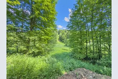 6985 Brush Run Road, Cambridge, OH 43725 - Photo 41