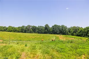3825 Pryor Rd, Chandlersville, OH 43727 - Photo 1
